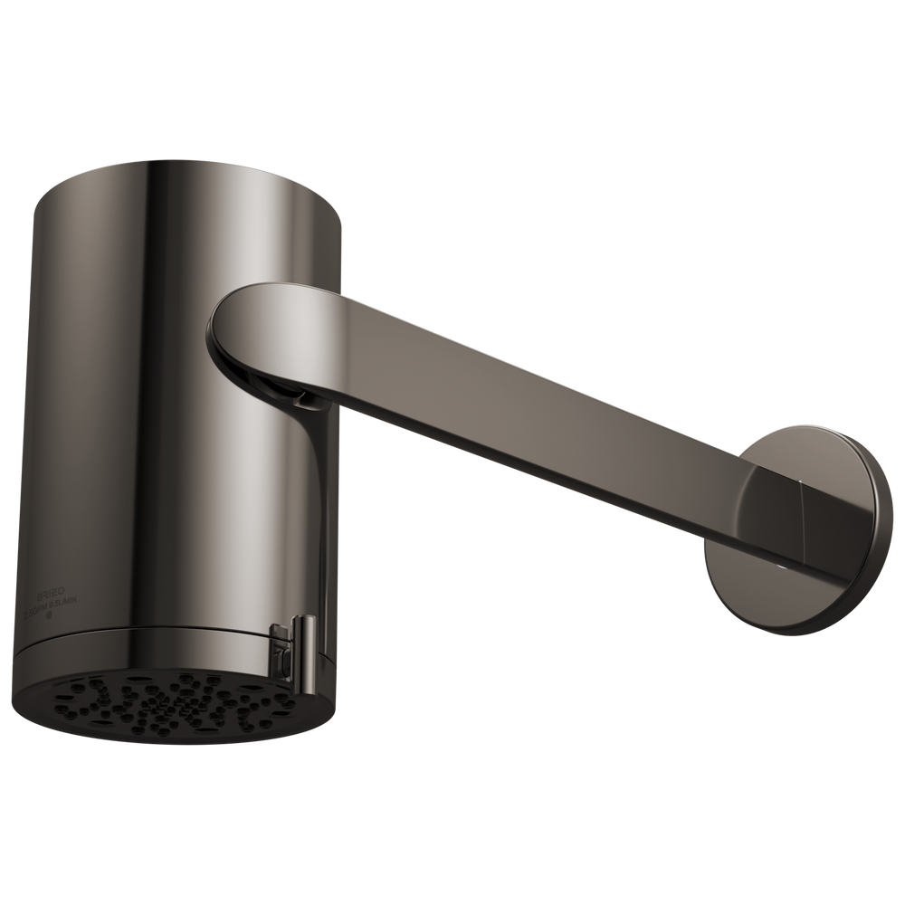 Multi Func Sconce WM Shower Head
