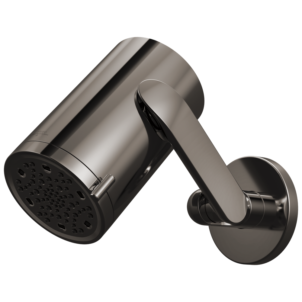 Multi Func Sconce WM Jointed Shower Head
