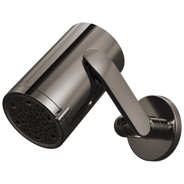 Multi Func Sconce WM Jointed Shower Head