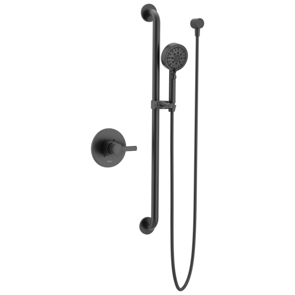 Peerless Precept: ADA Valve Only with Hand Shower - / TS9 / TS9